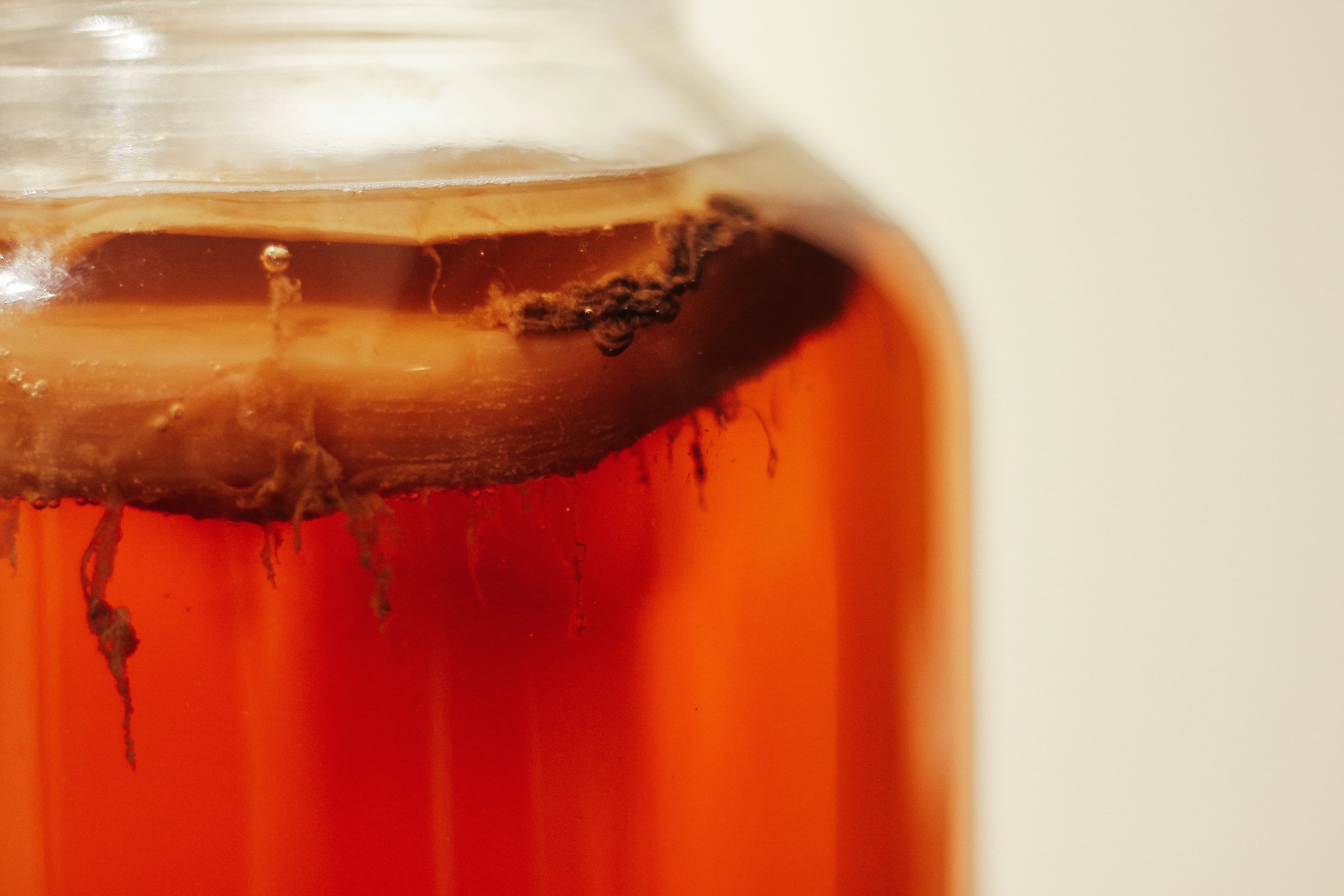 Fermentazione: Kombucha & Kimchi
